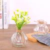 Vaso de vidro transparente boca pequena garrafa abóbora sala de estar Narciso rabanete verde arranjo de flores garrafa hidropônica retro criativo casa