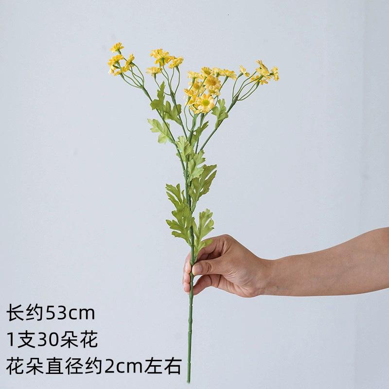 黄色.jpg