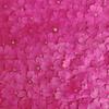 Beleza Sakura Flor Seca Material Relevo Atacado DIY Feito à Mão Resina Epóxi Capa de Celular Flor Real Nail Art Decalque de Rosto Decoração