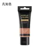 Farnuose 35ml Kit de Tinta Acrílica 48 Cores Tubos de Plástico com 6 Pincéis Tabela de Cores Pintura de Parede Atacado