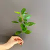 Araña Hoja Douban Planta Verde Simulación Material Hoja Única Flor Falsa Hoja de Eucalipto Ceja y Ojo Decoración Adorno Venta al por Mayor