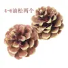 Decoración hecha a mano para árbol de Navidad Materiales crudos para manualidades Piña Dorada Piedra de camino octagonal Eucalipto