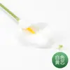 Lírio-de-calla Artificial Artificialmente Realista Pu Flor Falsa Flor de Plástico Casamento Sala de Estar Decoração Flor de Exibição Lote Transfronteiriço