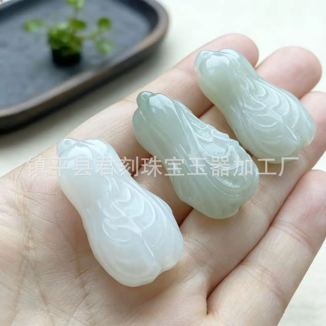 微信图片_20260305185313_10684_124.