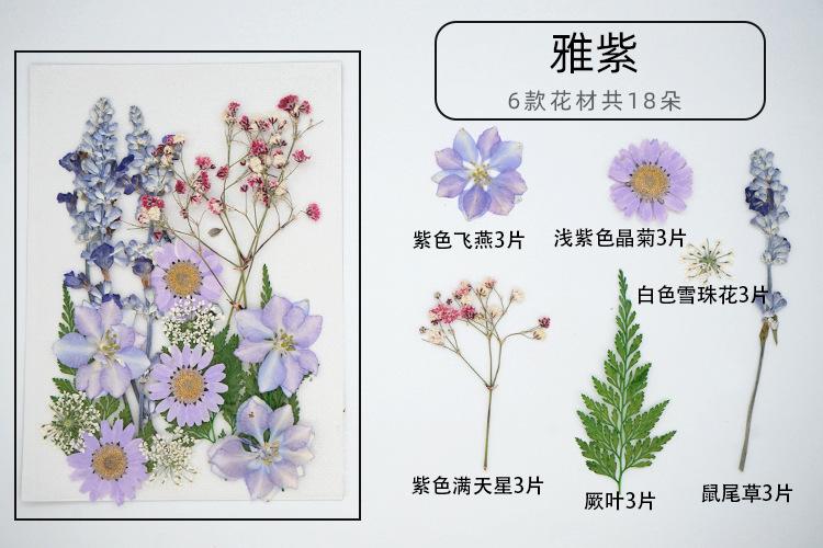 雅紫展开图.jpg