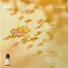 Líquido de Relleno de Aceite Esencial de Plantas de Aromaterapia de 15 ml para Difusor de Piedra de Yeso, Adornos Aromáticos, Especializado para Uso en Interiores, Fragancia de Alta Gama y Larga Duración
