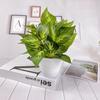 Plantas Falsas Transfronterizas de Punto Plantas Verdes Decoración Interior y Exterior Plantas de Plástico en Maceta Plantas Falsas en Maceta Decoración de Escritorio Ins