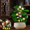 Dropshipping Árbol Bodhi en Maceta Bonsái Bodhi Pequeño con Fruto Adornos de Escritorio Zen Chino Interior Creativo Bueno