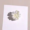 Grampo de Cabelo Flor de Cinco Pétalas Colorido Tamanho Médio 4cm Presilha para Rabo de Cavalo Alto Penteado Doce e Fofo Estampado Fornecimento Transfronteiriço