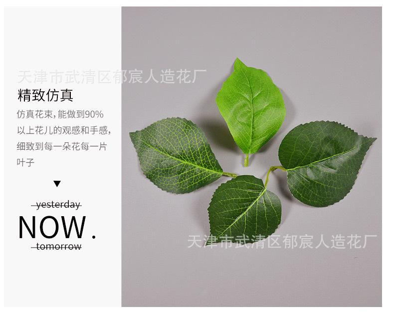 详情_09.jpg