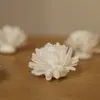Pe Algodão Espuma Difusor de Aroma Varetas Acessórios Difusor de Aroma Sem Chama Flor Artificial Varetas de Aroma Decorativas Flores Secas Internas Atacado