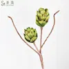 Plantas Verdes Artificiais Simuladas, Móveis para Casa, Pinhas Decorativas, Adereços para Fotografia de Frutas de Eva, Arranjos de Flores Suculentas, Arranjos Florais