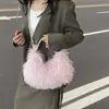 Bolso de peluche tipo dumpling exquisito estilo coreano ins, nuevo bolso de hombro versátil de moda 2026, bolso cruzado lindo y elegante