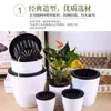 Vasos de Flores Plásticos Espessados Autoirrigáveis para Plantas de Interior, Armazenamento de Água Autoabsorvente para Prevenir o Apodrecimento das Raízes, Venda por Atacado do Fabricante