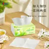 Lenços Faciais Xin Xiang Yin Aroma Clássico de Chá 100 folhas 24 pacotes Guardanapos Domésticos Lenços Faciais Papel Higiênico Econômico Pacotes Grandes