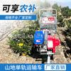 Camión autopropulsado de una sola oruga con motor de gasolina pequeño para escalada de montaña, transportador de material de ingeniería, carga