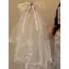 Diadema Corona Negra con Velo Gótico de Halloween para Mujer, Diadema Elegante de Rosa de Alta Gama, Vestido de Fiesta Festivo