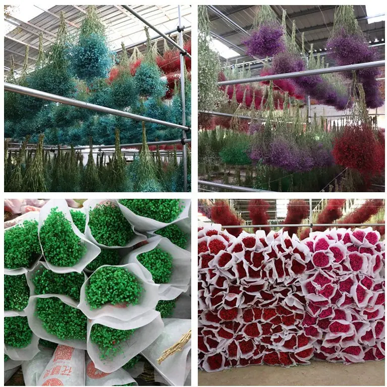 initpintu_副本