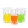 Bolsas Personalizadas con Boquilla para Bebidas, Bolsas Líquidas de Grado Alimenticio para Medicina Tradicional China, Bolsas Líquidas de Agua para Conciertos, Bolsas Auto-Soportantes Transparentes Esmeriladas con Boquilla