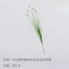 Simulação de Grama Cauda de Cachorro Hairy Cordyceps Flor de Renda Planta Verde Artificial Decoração Paisagem