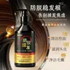 Champú Anti-Caída Qianfei con Hoja de Platycladus Arborvitae, Jengibre y Polygonum Multiflorum, Espuma Refrescante para Nutrir y Proteger el Cabello, Fortaleciendo el Cabello y Previniendo la Caída
