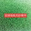 Relva Artificial Campo de Futebol Relva Artificial Desportos Outdoor Playground Portão Campo Desportivo Campo Desportivo Relvado Falso