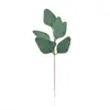 Amazon TEMU Combinação de Eucalipto Simulado DIY Galhos de Inserção Folhas de Dinheiro Gipsofila Flor Artificial Decoração Transfronteiriça