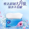 Papel de Seda Vinda 150 Hojas * 24 Paquetes, Extra Resistente tamaño M, Paquete de Valor Familiar, Servilletas sin Perfume, Pañuelos Faciales Sanitarios, Engrosados