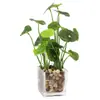 Planta Verde Creativa Hierba de Cuatro Hojas Cheyenne Planta en Maceta de Simulación Decoración del Hogar Escritorio de Oficina Planta de Simulación Crecimiento de Ojos Bonsái