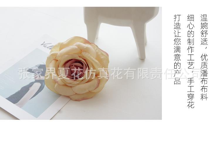 详情页_13.jpg