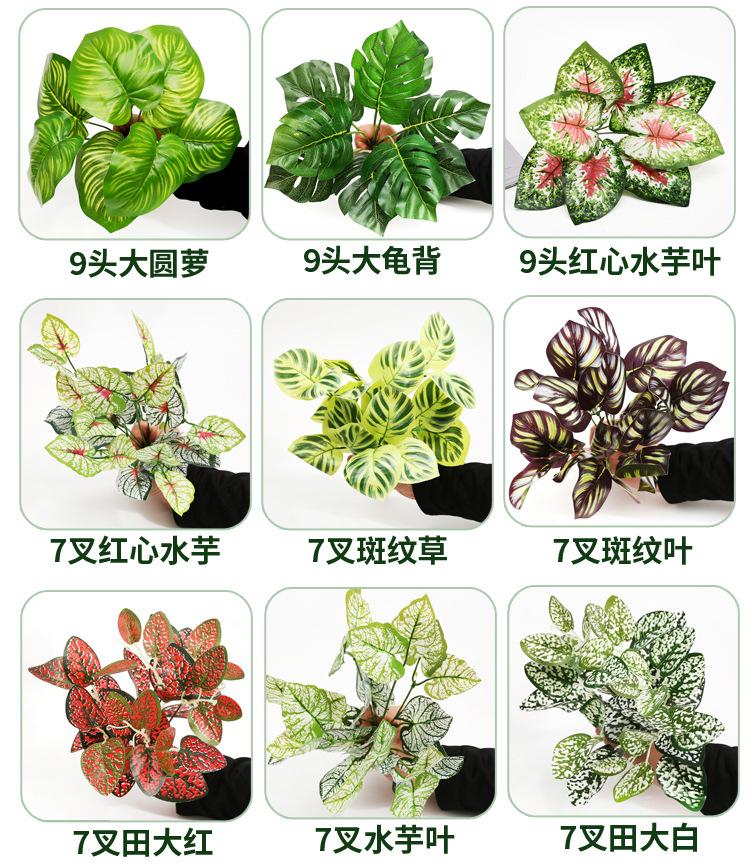 定稿--750-12000_06.jpg