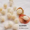 Pacote de Material de Flores Secas Espécime Jardim de Infância Casca de Fruta Caseira Flor Seca Bolota Porta-Retrato Espécime Pinha Porta-Retrato DIY Feito à Mão