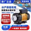 Bomba para Banheira de Hidromassagem Tda100Tda200 Guangdong Lingxiao, Resistente à Corrosão, para Circulação em Aquicultura, Alta Pressão, Grande Vazão, Alta Elevação
