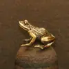 Pele de sapo de flor de latão pequenos ornamentos chá animal de estimação presente de mesa coleção sólida artesanal cobre antigo animais pequenos fofos