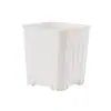 Nuevo diseño 6cm ligeramente regordete maceta cuadrada pequeña Hogar Oficina maceta cuadrada pequeña para plántulas maceta de plástico para suculentas florero