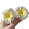 Accesorio de pinza para el pelo floral de Zhao Lusi para mujer, perfecto para vacaciones en la playa y sesiones de fotos, creando un look atmosférico