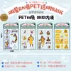 Animación de estrella Xiao bolsa de guerra menos bola Fuente Milenaria Dios PET transparente cinta de cuenta manual pegatina 4 juegos al por mayor
