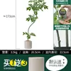 Habitat de folha de glicínia planta verde artificial alto padrão luxo leve interior sala de estar chão árvore falsa biônica planta em vaso