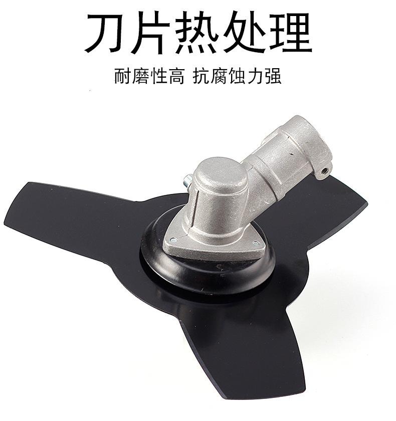 17536764343_1289405386