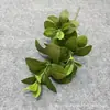 Venta Directa Transfronteriza de Plantas Verdes Artificiales, Decoración para el Hogar, Paisajismo de Hoteles, Decoraciones con Plantas Verdes para Celebraciones de Bodas y Materiales Florales