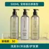 Shampoo de Hotel, Gel de Banho Descartável, Frasco Grande de 500ml para Pousada, Condicionador Doméstico de Chá Branco, Produtos de Higiene Pessoal