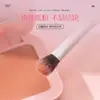 Comércio Exterior Novo Kit Portátil de Pincéis Cosméticos Transfronteiriços Pincel para Cor de Pó Cabelo Macio Pincel para Sombra de Olhos Pincel para Blush em estoque
