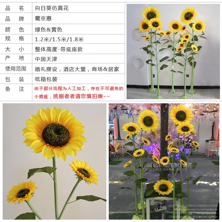 sunflower_07