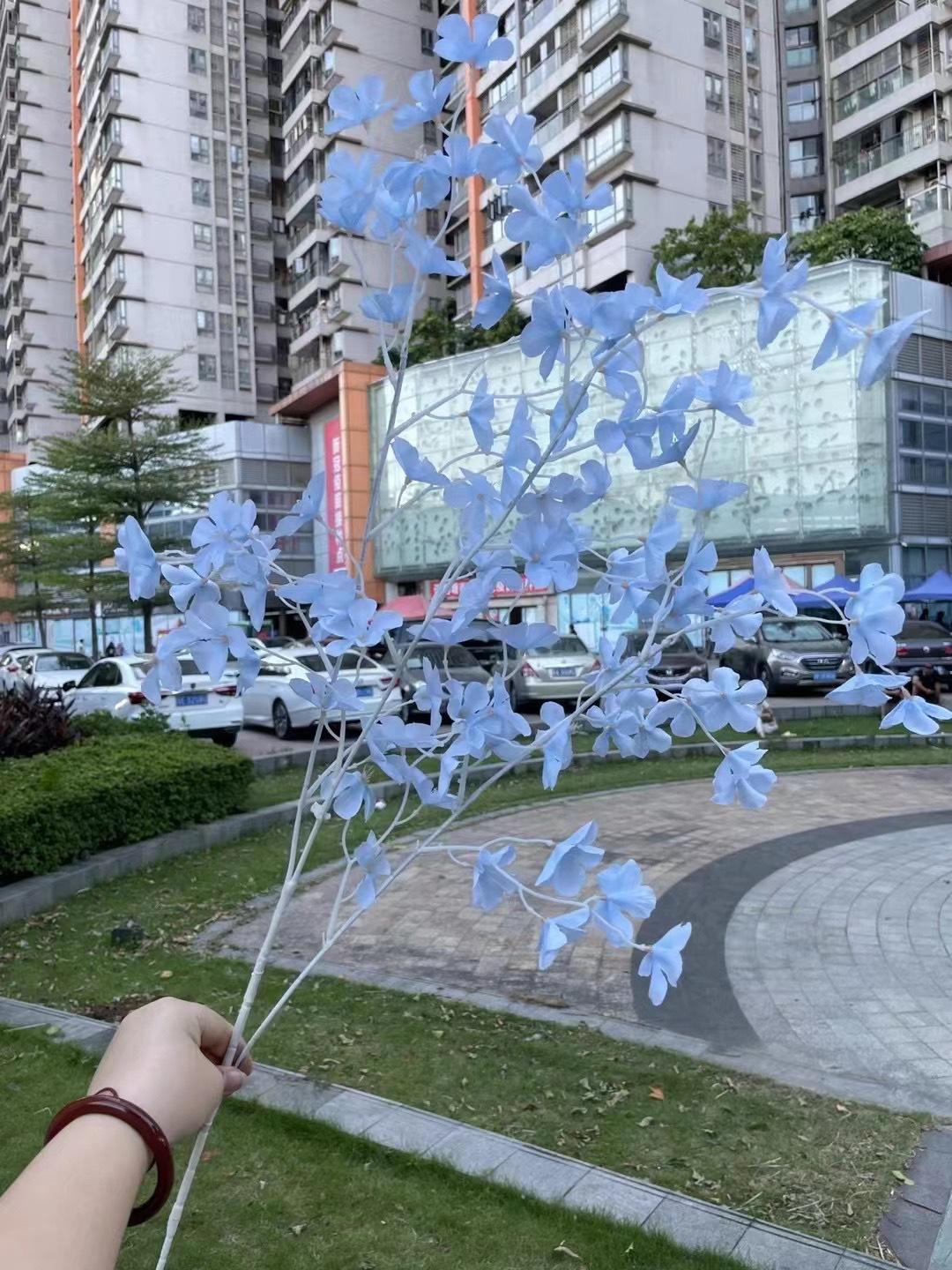 微信图片_20240729142737.jpg