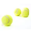 Tienda de Fábrica-Alta Elasticidad de 63 Mm (Pelota de grado a) Juguete para Mascotas Entrenamiento Pelota para Lanzar Reutilizable