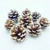 Paquete de materiales DIY hecho a mano flores mixtas plantas flores secas estilo bosque de jardín de infantes creación de anillos decoración piñas de Navidad