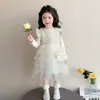 Elegante Conjunto de Vestido de Malla Primavera/Otoño para Niñas, Bebé 2026 Nuevo Vestido de Princesa Moda de Primavera