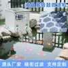 Máquina de Microfiltración Acuícola Qili Tambor Totalmente Automático Agua Circulante Filtración Estanque de Peces Industrial Pequeña Máquina de Microfiltración Tambor