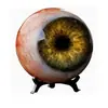 Producto de Venta Caliente Transfronterizo Ojo de Monstruo Hiperrealista Decoración Decoración de Ojo de Monstruo Ultrarrealista