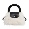 Bolso peludo de estilo casual de otoño para mujer 2025 Nuevo bolso de mano de felpa lindo Bolso cruzado casual de aspecto elegante